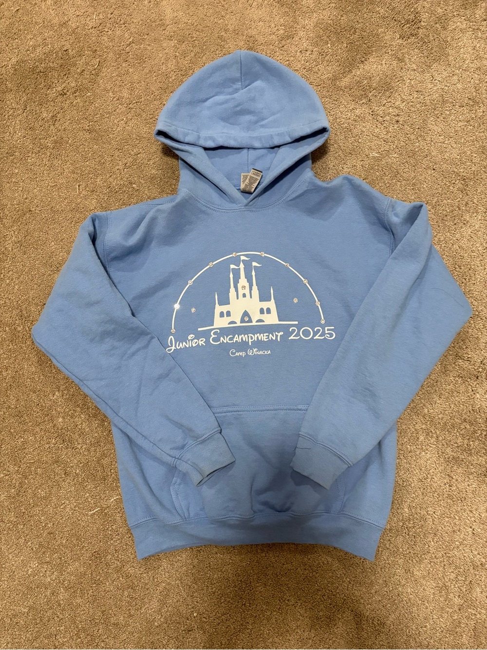 Gildan Light Blue Disney Style Youth Hooded Sweatshirt